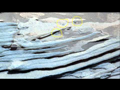PART FOUND NEAR FLOATING SPOON SOL 1090