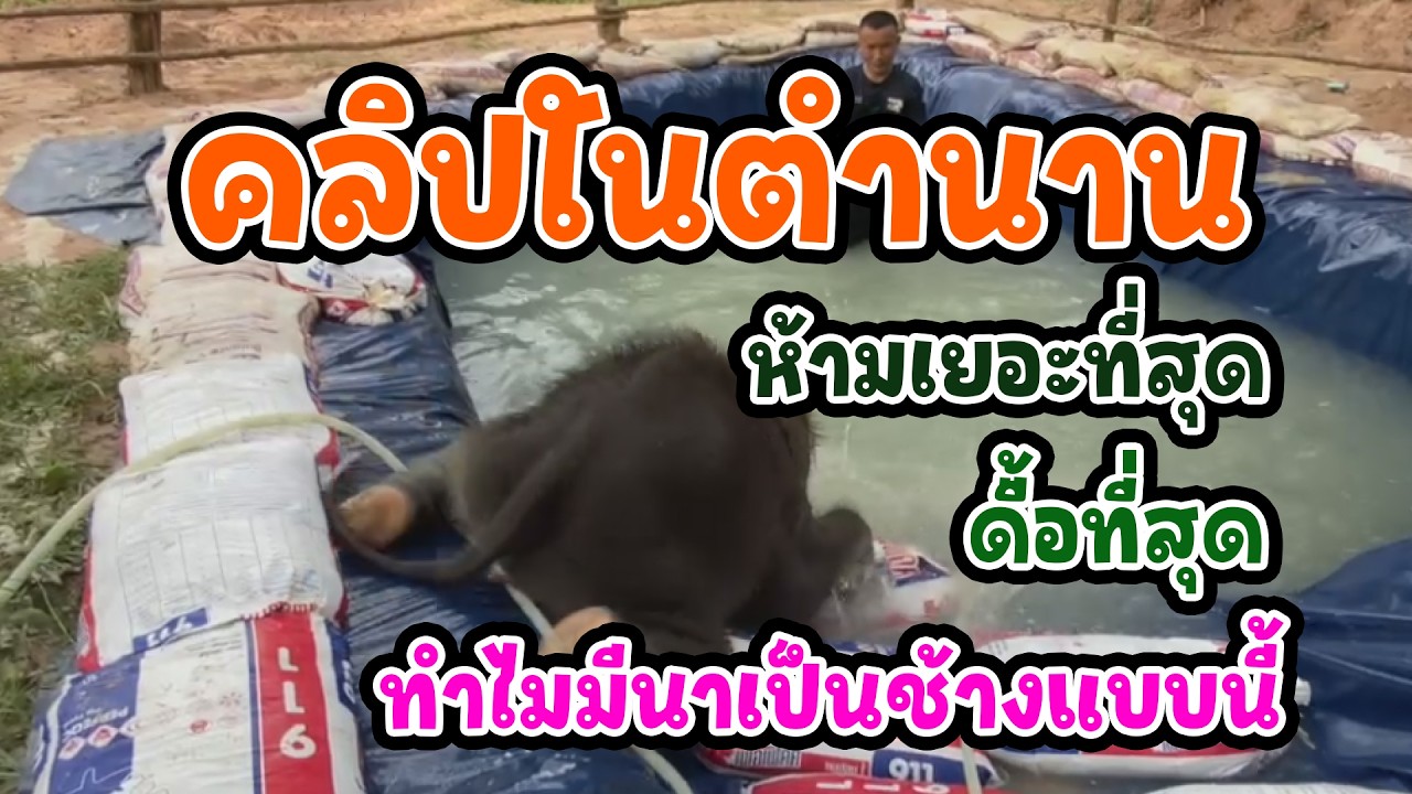 👉 ดูแล้วจะเข้าใจ… ทำไมคำว่า “อย่า” ใช้ไม่ได้กับเด็กชื่อส้มจุกมีนา