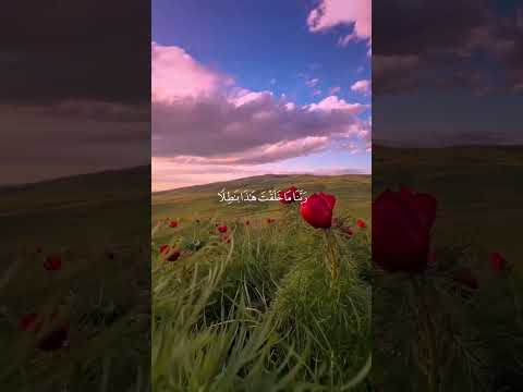 ويفكرون في خلق السموات والأرض ربنا ما خلقت هذ بطلا سبحنك فقنا عذاب النار اجر لي ولكم صوتي