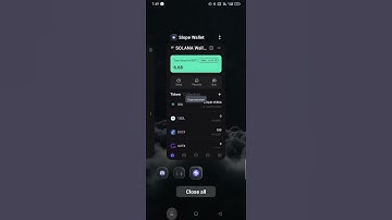 Spin verification video