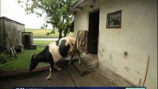 France 3 - 19.20 du 22.06.2011 - Agriculture Ukraine