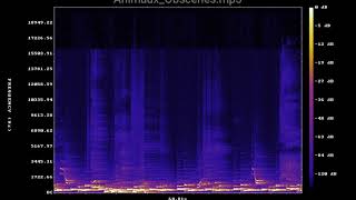 Animaux Obscenes Ambient