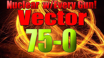 BO2 Nuclear w/ Every Gun: Vector 75-0 Flawless!