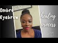 Ombré eyebrow (Microblading) healing process 