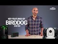 Une introduction  birddog et ndi  les principales fonctionnalits que vous devez connatre