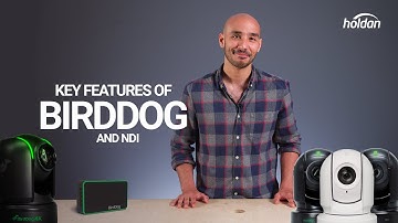 An Intro to BirdDog and NDI - The Key Features You Need to Know