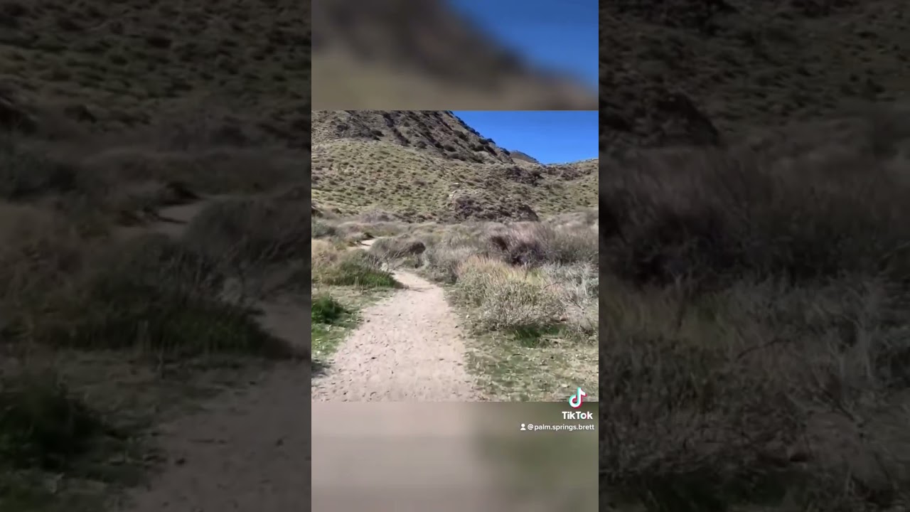 Hiking the Coachella Valley |Whitewater Preserve. 