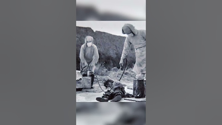 Unity 731 - The Terrible Japanese Experiment - Historical Curiosities - See U in History #Shorts