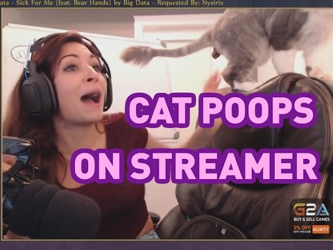 Cat poops on streamer *WARNING POOP*