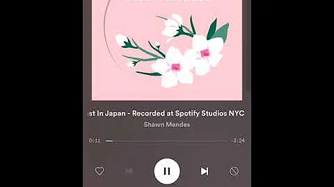 Shawn Mendes- "Lost In Japan Acoustic" Spotify Singles