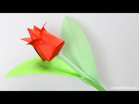 Video: Cómo Hacer Un Tulipán Con Papel