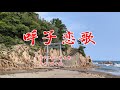 呼子恋歌 谷龍介 / cover by botan