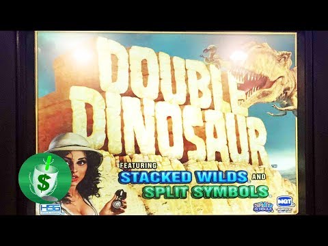 Double Dinosaur slot machine, bonus