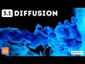 Mastering Diffusion: Key Concepts and Applications in Biology