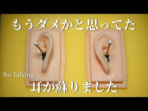 ASMR 耳が奇跡の復活を遂げるジョワジョワ奥行き耳かき Deep Ear Cleaning for Intense Tingles