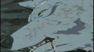 Wolf'S Rain (Одинокая Птица)