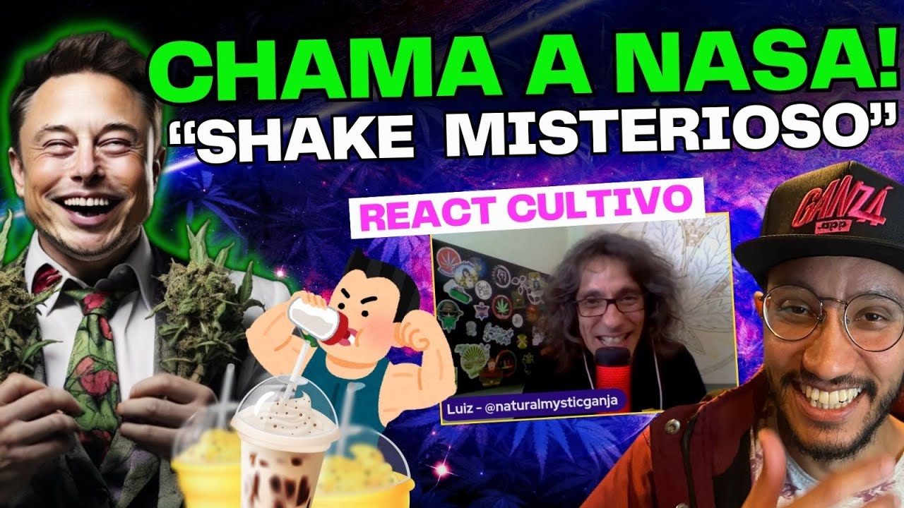 GROWBIARRA NA ESTANTE DE SALGADINHOS E MILK SHAKE NO BALDE MISTERIOSO? DICAS DE CULTIVO