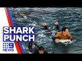 Surfer attacked by shark in Melbourne | Nine News Australia