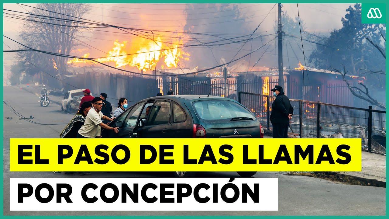 Gigantesco incendio forestal afecta a Concepción: Palomares y Florida son los sectores más afectados