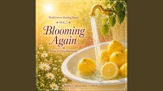 Blooming Again (Chinese)