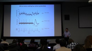 Lecture 11: Dr. Wang (Neural coding 2)