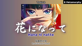 [THAISUB/แปลไทย] 花になって (Hana ni natte) - 緑黄色社会 (สืบคดีปริศนา หมอยาตำรับโคมแดง Opening)