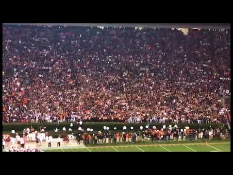 Auburn Swag Surf