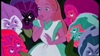 Flamingosis - Ecstasy