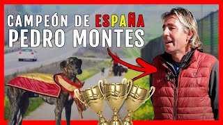 Los SECRETOS de PEDRO MONTES  ➤ Entrevista a un Galguero Ganador...