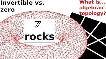 What is...the universal coefficient theorem?