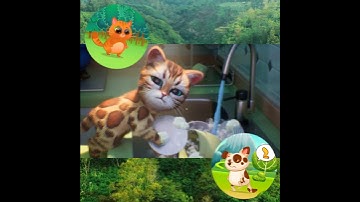 Kitten Match Ad with Bubbu 2025.02.16