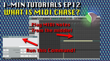 How to Play MIDI notes from ANYWHERE in Reaper (1-min Tutorials Ep12)