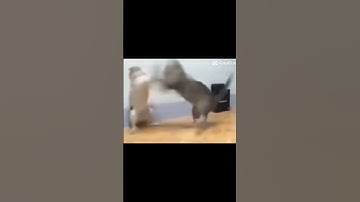 Delta Force Mobile Vs Call Of Duty Warzone Mobile #deltaforcegame #codwarzone