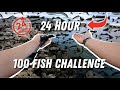 Can i catch 100 fish in a day multispecies challenge