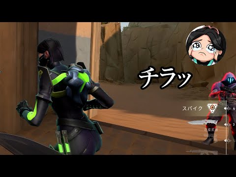 綺麗な二度見をする全てが初心者なセージ【VALORANT】