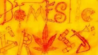 Download Lagu Domestic Grass   Down And So Lonely (audio) MP3