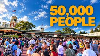 Full How Magic Kingdom Handles 50,000 People a Day Update