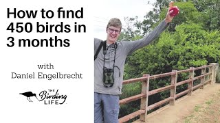 How did daniel engelbrecht win the spring fling challenge? | birding
life