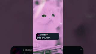 Mja Hi Kch Aur Hai Na