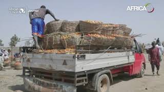 African Union Journal : 190 million euros to boost agriculture
