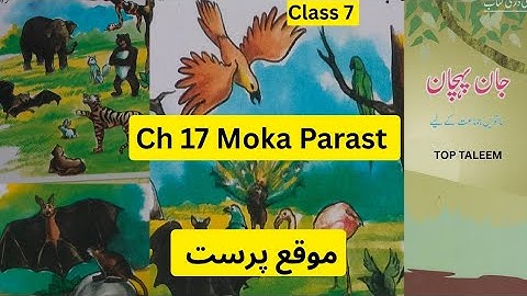 Class 7 urdu ch 17 moka Parast with answers موقع پرست |Jaan pehchaan| #ncert #urdu