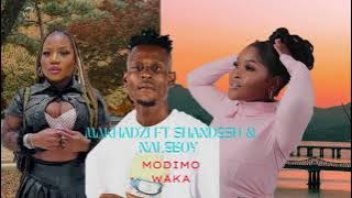 MODIMO WAKA _ SHANDESH FT MAKHADZI & NALEBOY YOUNG KING