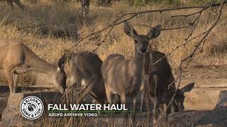 Fall Water Haul by Arizona Game And Fish 734 views 5 months ago 3 minutes, 29 seconds