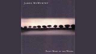 Watch James Mcmurtry Gone To The Y video