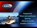 Норвегия. Морская рыбалка. Треска. Монстр рыба ломает спиннинг!