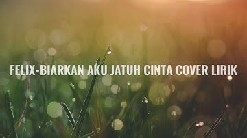 FELIX-BIARKAN AKU JATUH CINTA LIRIK