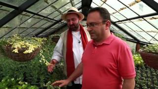 видео:  картинка: