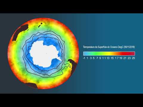 Vídeo: Por que a Corrente Circumpolar Antártica é importante?