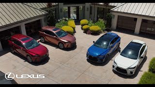 The All New RX - Diverse Powertrains
