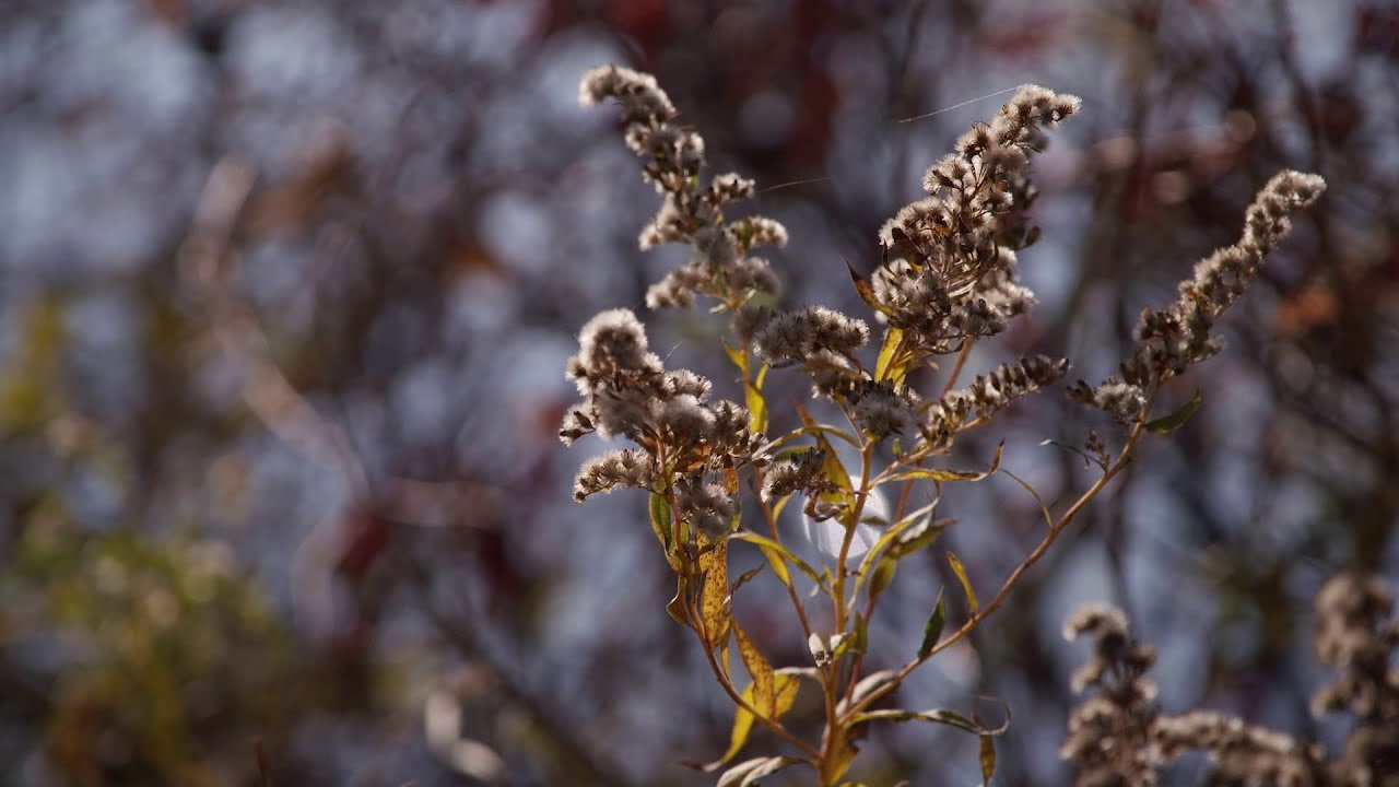 Suicide in America: How Health Systems Can Boost Treatment Access